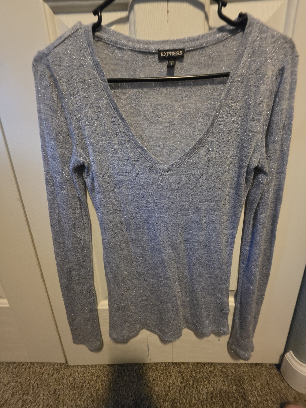 Express Light Blue Shimmer V-Neck Long Sleeve Top